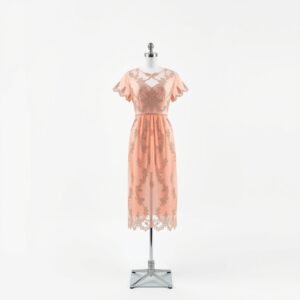Organza Party Frock with Handwork